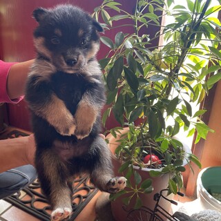 1か月の男の子『あい』くん