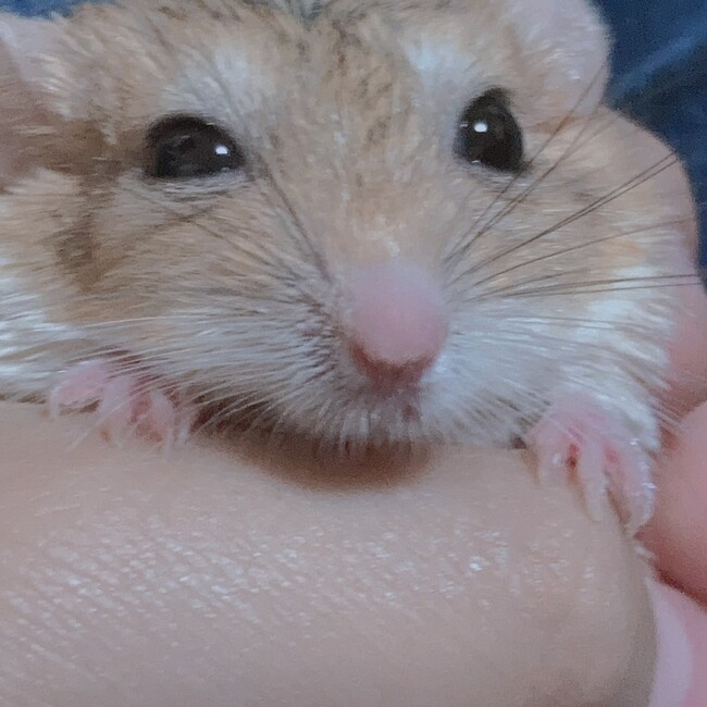 ななち3のカバー写真
