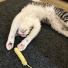『きの君』今はまだ控えめな甘えん坊君 サムネイル3