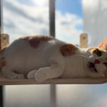 の写真