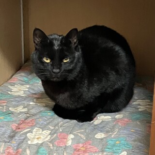 この子の命を救ってください！