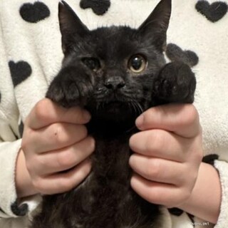 フレンドリー♪ゴロゴロ甘えん坊クマちゃんです