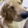 スーず