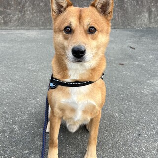 訳あり緊急急募！２３日までにこちらに来れる方！