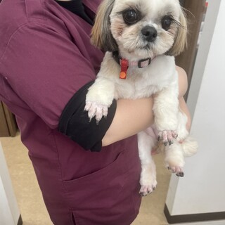 ⭐︎まんまるお目目の照れ屋さん⭐︎つむぎちゃん3歳