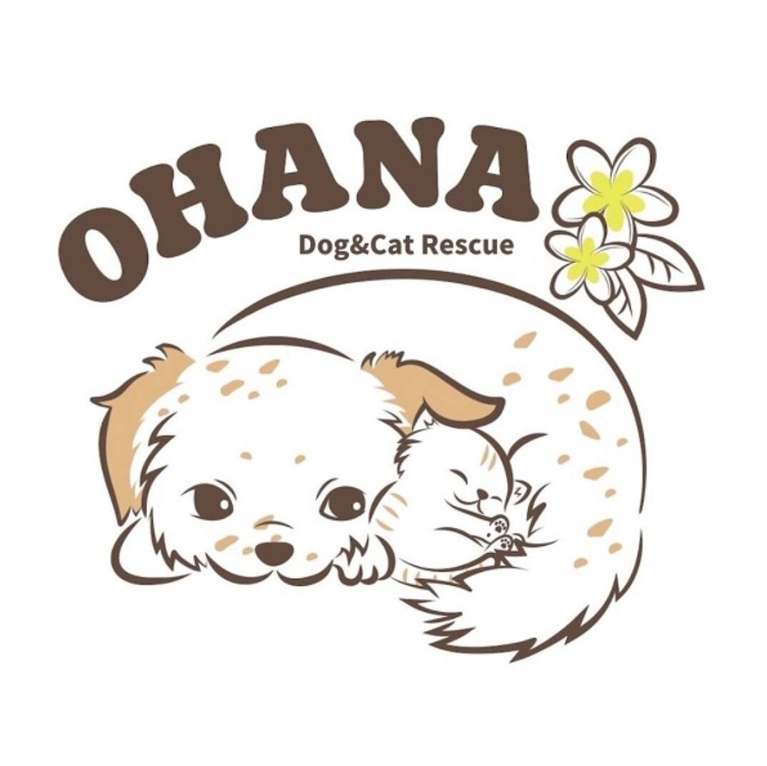 わんにゃんレスキューOHANA :: ペットのおうち【里親決定30万頭！】