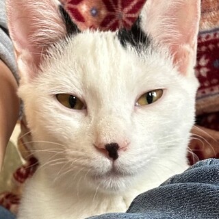 抱っこ大好き甘えんぼ　たらちゃん