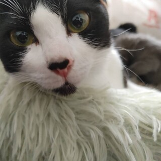 人馴れしてる甘えん坊ぶっちぃ✨