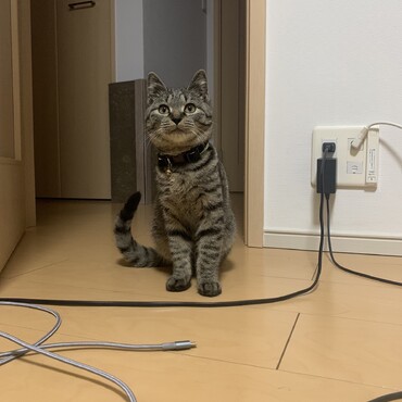 の写真