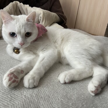 の写真