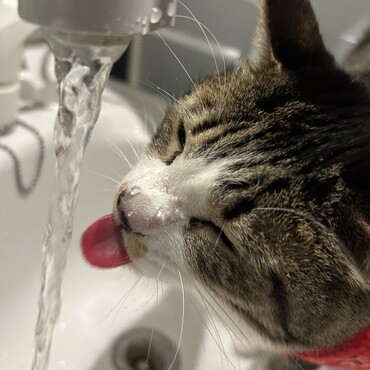 の写真