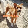 性格抜群に良し☆オススメの【ひまりちゃん】 サムネイル4