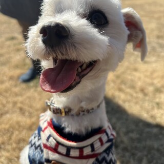 ノンストップ・アスペン！