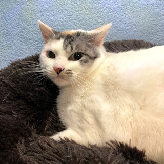 【3/9東銀座】たまこちゃん★４歳♪