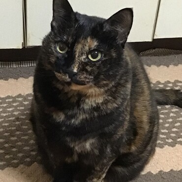 雪だるま⛄️って冷たいのかなぁ？GINTAママさん、寒かったでしょ！