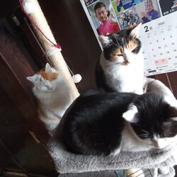 「幸福の公式」サムネイル2