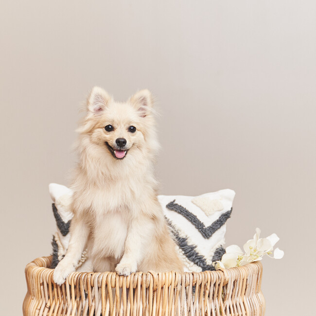 illbeiwillbeのカバー写真