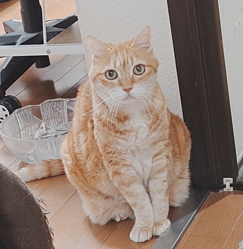 しじみ