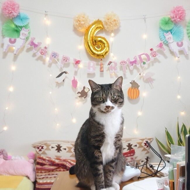 ごま塩むすびのカバー写真