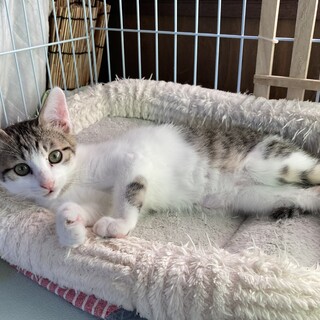 マイペースで仕草の可愛いサニーちゃん