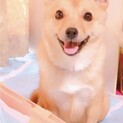 甘えん坊女の子です