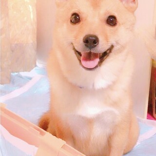 甘えん坊女の子です