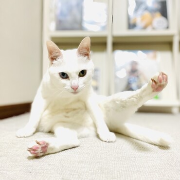 の写真