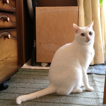の写真