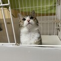 ほよみ