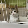 ほよみ サムネイル2