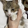 ほよみ サムネイル3