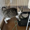 ほよみ サムネイル4