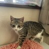 ほよみ サムネイル5