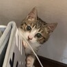 ほよみ サムネイル6