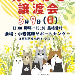 えどねこ譲渡会 江戸川区保健所（小岩健康サポートセンター）