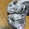 ペコらさん
