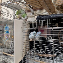 「初日」サムネイル2