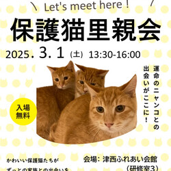 保護猫里親会in津西ふれあい会館