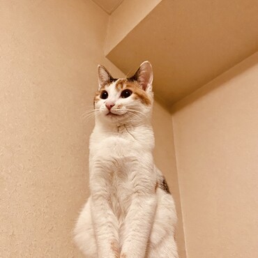 の写真