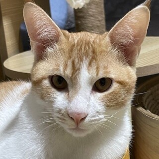 なかなかなイケメン君です