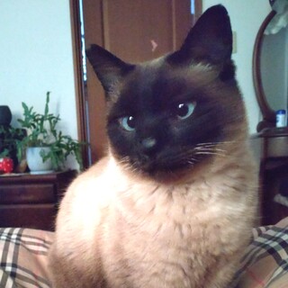 とても性格の良いテオです