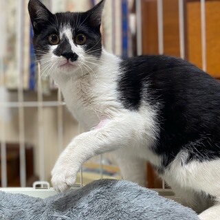 ４ヶ月くらいの男の子　にいち