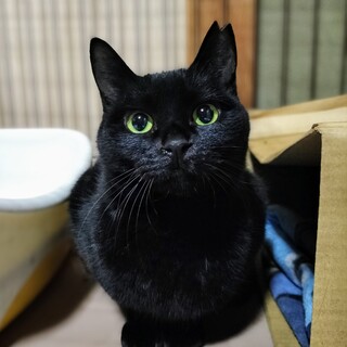 もう幸せになってもいいよね...？