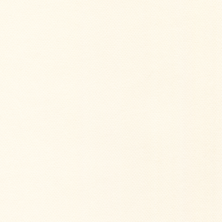 ファンシーラット（メス３匹）