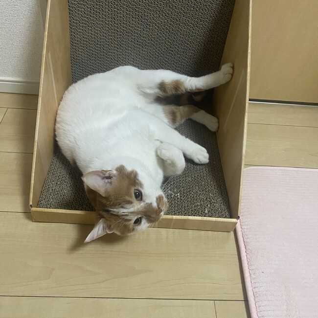 @ミーナ@のカバー写真