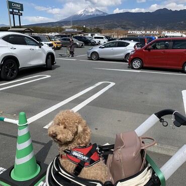 富士山の日に富士山を見てます