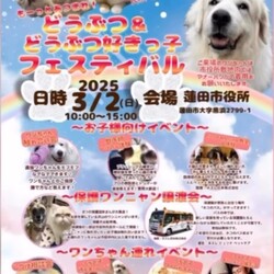 なごの家保護猫譲渡会in あつまれ!どうぶつ＆どうぶつ好きっ子フェスティバル蓮田市役所