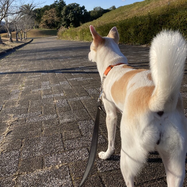 もきょもきょのカバー写真
