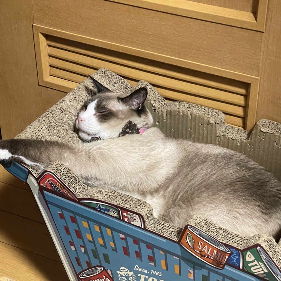 じろうのカバー写真