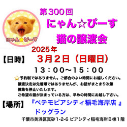 にゃん☆ぴーす猫の譲渡会【稲毛海岸/ペテモピアシティ稲毛海岸店』